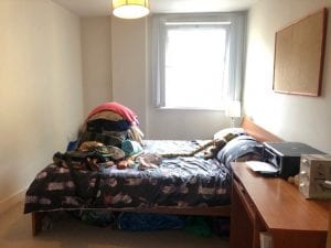 IMG_287_5_large