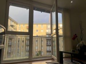 IMG_556_5_original